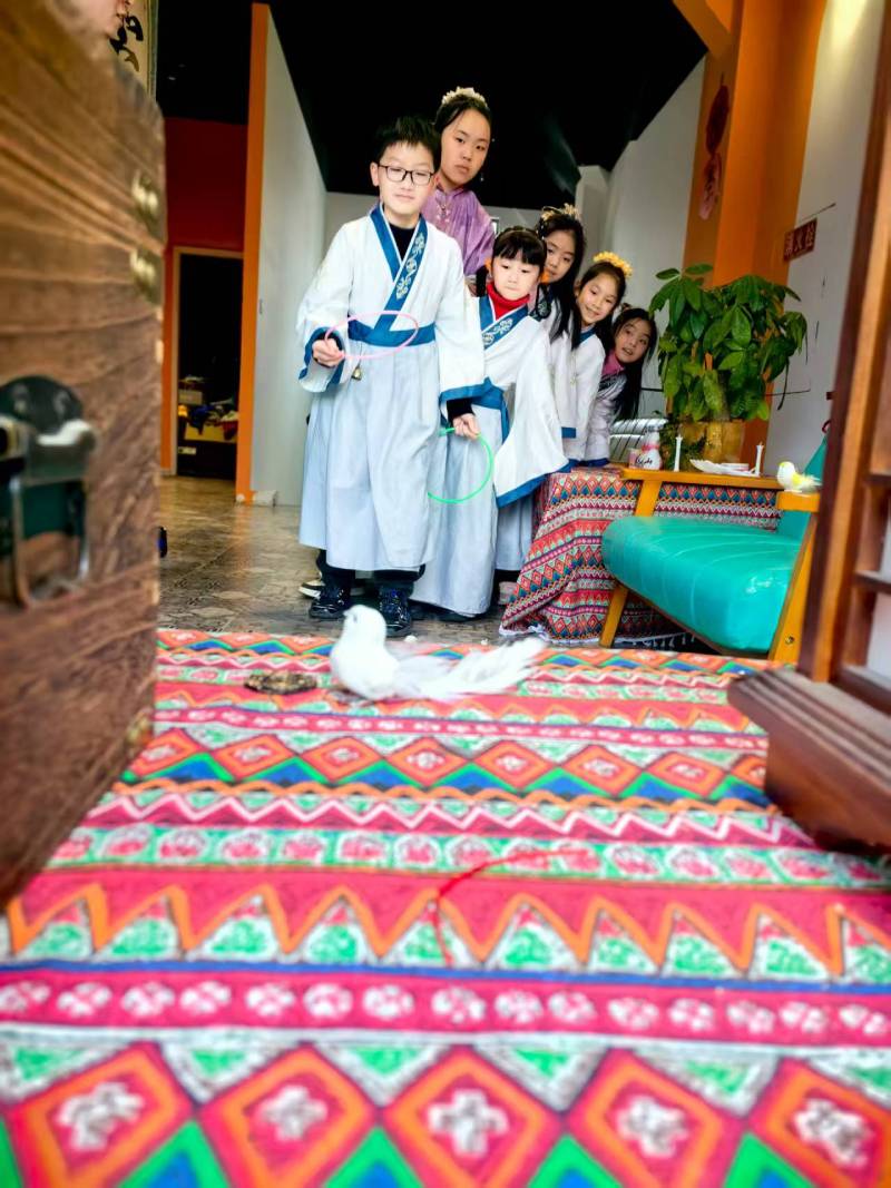 崇明县文旅项目策划